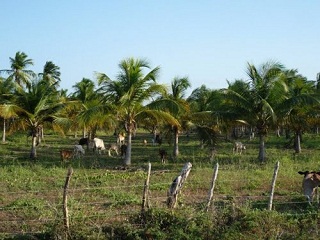 san juan de los cayos 2.jpg